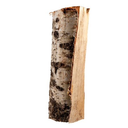 Birke Brennholz kammergetrocknet 25 cm – ganze Palette 800 kg